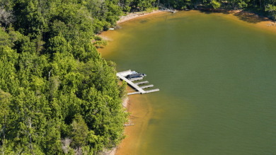 Beautiful Lakefront Retreat with Private Dock - photo 5