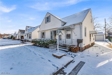 Lake Erie - Cuyahoga County Home For Sale in Euclid Ohio