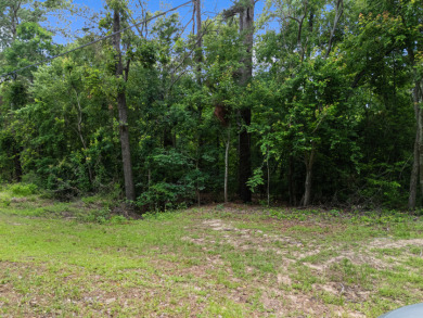 SO 25 Lake Cherokee - photo 11