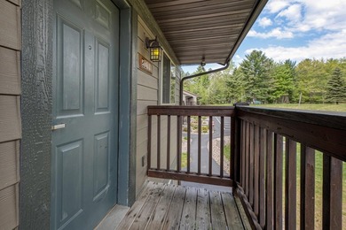 Your Eagle River Chain getaway awaits at Wild Eagle Lodge! This - photo 15