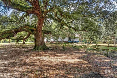 The best of country living with city convenience can be found at - photo 16