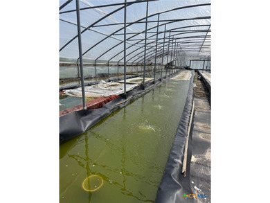 WATERFRONT! 265+ acres fish farm with 2000 feet on Hynes Bay - photo 3