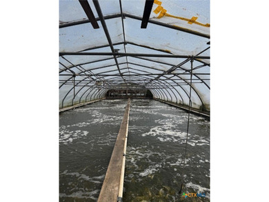 WATERFRONT! 265+ acres fish farm with 2000 feet on Hynes Bay - photo 8