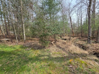 Private Cul-de-Sac Lot Backing to Common Area in Fairfield Glade - photo 10