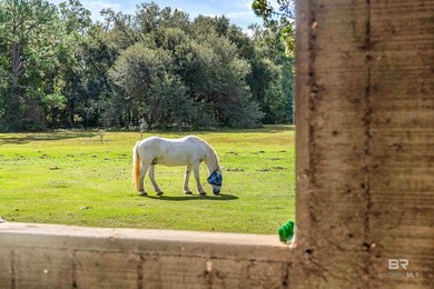 The best of country living with city convenience can be found at - photo 57