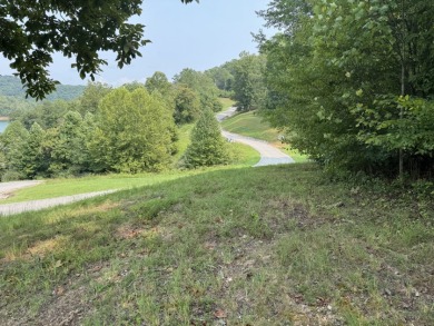 Beautiful acre lot with panoramic lakeview and view of the Marina - photo 8