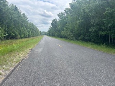 Lot just under an acre in northern Emmet County. Property offers - photo 2