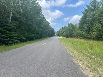 Lot just under an acre in northern Emmet County. Property offers - photo 3