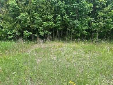 Lot just under an acre in northern Emmet County. Property offers - photo 4
