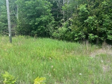 Lot just under an acre in northern Emmet County. Property offers - photo 5