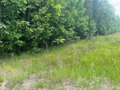 Lot just under an acre in northern Emmet County. Property offers - photo 6