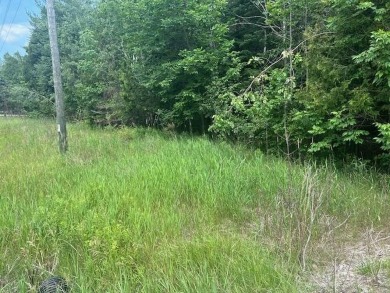 Lot just under an acre in northern Emmet County. Property offers - photo 7