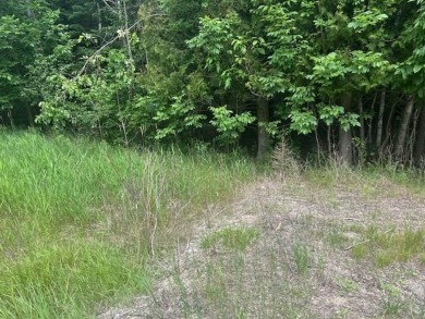 Lot just under an acre in northern Emmet County. Property offers - photo 8
