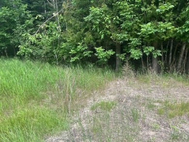 Lot just under an acre in northern Emmet County. Property offers - photo 9