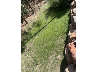 White Mountain Vacation Village is an amazing community! Park - photo 17