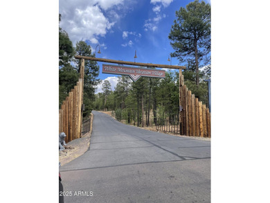 White Mountain Vacation Village is an amazing community! Park - photo 19