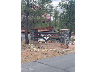 White Mountain Vacation Village is an amazing community! Park - photo 20