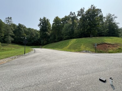 Beautiful acre lot with panoramic lakeview and view of the Marina - photo 3