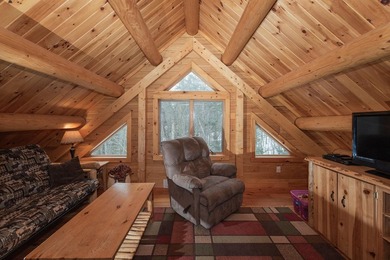 Escape to the beauty and tranquility of the Adirondacks in this - photo 22