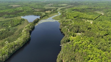 Escape to the Northwoods and start making memories on beautiful - photo 31