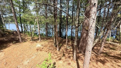 Escape to the Northwoods and start making memories on beautiful - photo 38