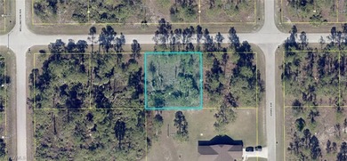 Lehigh Acres Area Lot For Sale in Lehigh Acres Florida