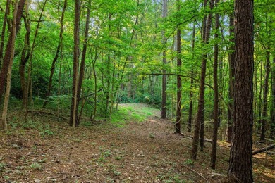 LAKE FRONT LAND with room to roam on OVER FOUR ACRES. Buoy # - photo 3