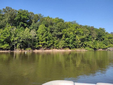 LAKE FRONT LAND with room to roam on OVER FOUR ACRES. Buoy # - photo 5