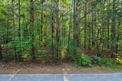 LAKE FRONT LAND with room to roam on OVER FOUR ACRES. Buoy # - photo 7