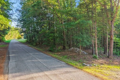 LAKE FRONT LAND with room to roam on OVER FOUR ACRES. Buoy # - photo 8