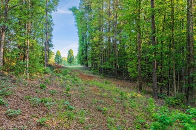 LAKE FRONT LAND with room to roam on OVER FOUR ACRES. Buoy # - photo 10