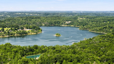 Beautiful Lakefront Retreat with Private Dock - photo 4