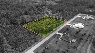 Build your dream oasis on this rare lake-view lot in the highly - photo 8
