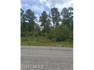 Lehigh Acres Area Lot For Sale in Lehigh Acres Florida
