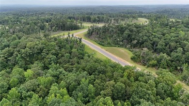 Introducing Emeralds Edge-Tuscaloosa's newest premier lakefront - photo 3
