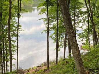 Your Ultimate Northwoods Destination!! Build your dream home on - photo 11