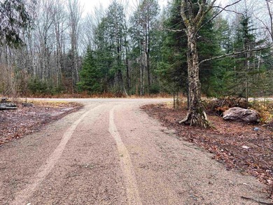 Your Ultimate Northwoods Destination!! Build your dream home on - photo 13