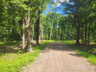 Your Ultimate Northwoods Destination!! Build your dream home on - photo 15