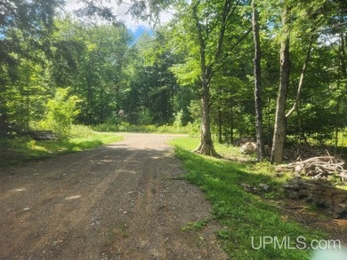 Your Ultimate Northwoods Destination!! Build your dream home on - photo 16
