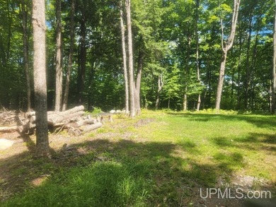 Your Ultimate Northwoods Destination!! Build your dream home on - photo 17