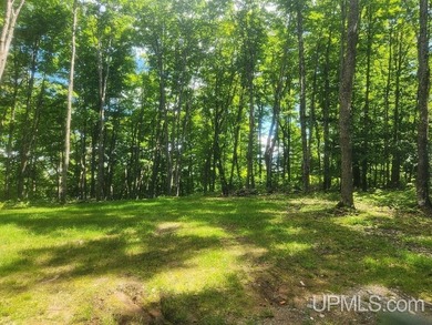 Your Ultimate Northwoods Destination!! Build your dream home on - photo 18