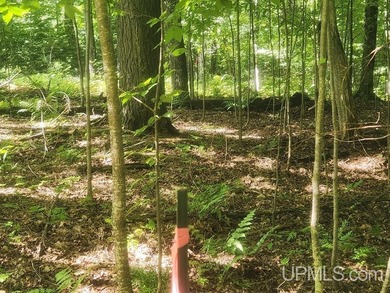 Your Ultimate Northwoods Destination!! Build your dream home on - photo 19