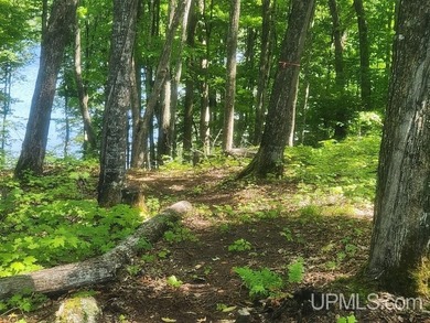 Your Ultimate Northwoods Destination!! Build your dream home on - photo 20