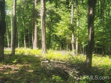 Your Ultimate Northwoods Destination!! Build your dream home on - photo 21