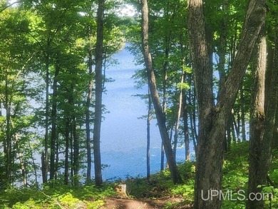 Your Ultimate Northwoods Destination!! Build your dream home on - photo 22