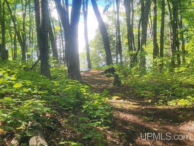 Your Ultimate Northwoods Destination!! Build your dream home on - photo 23