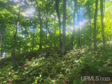 Your Ultimate Northwoods Destination!! Build your dream home on - photo 24