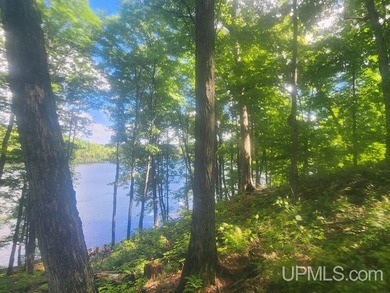 Your Ultimate Northwoods Destination!! Build your dream home on - photo 25