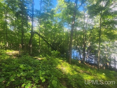 Your Ultimate Northwoods Destination!! Build your dream home on - photo 26