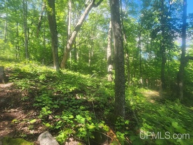 Your Ultimate Northwoods Destination!! Build your dream home on - photo 27